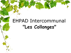 EHPAD Les Collonges