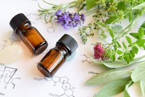 Formation en aromathérapie à Bordeaux 3
